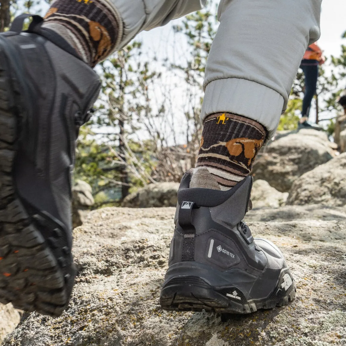 Hike Bear Stripe Mid Crew Socks