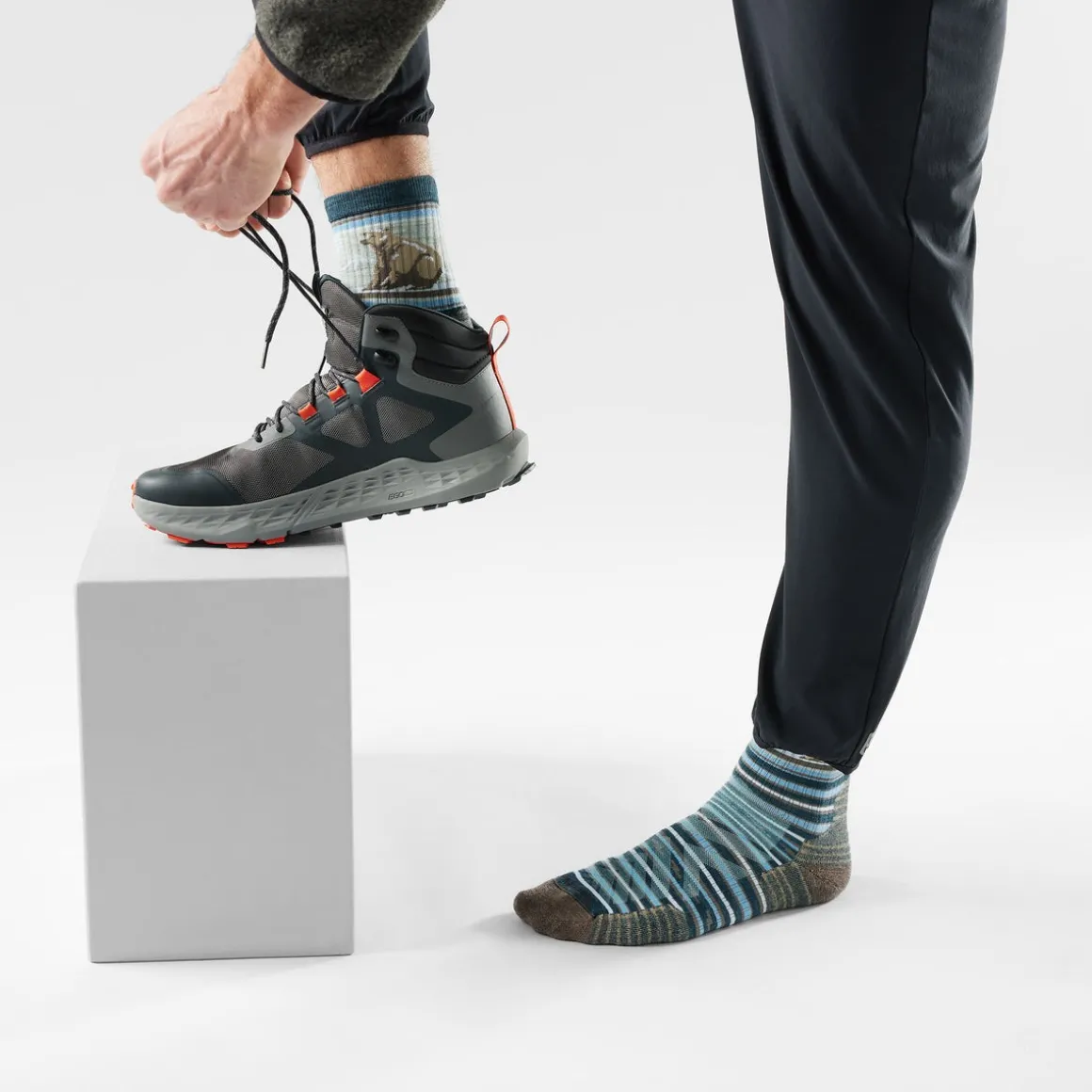 Hike Bear Stripe Mid Crew Socks