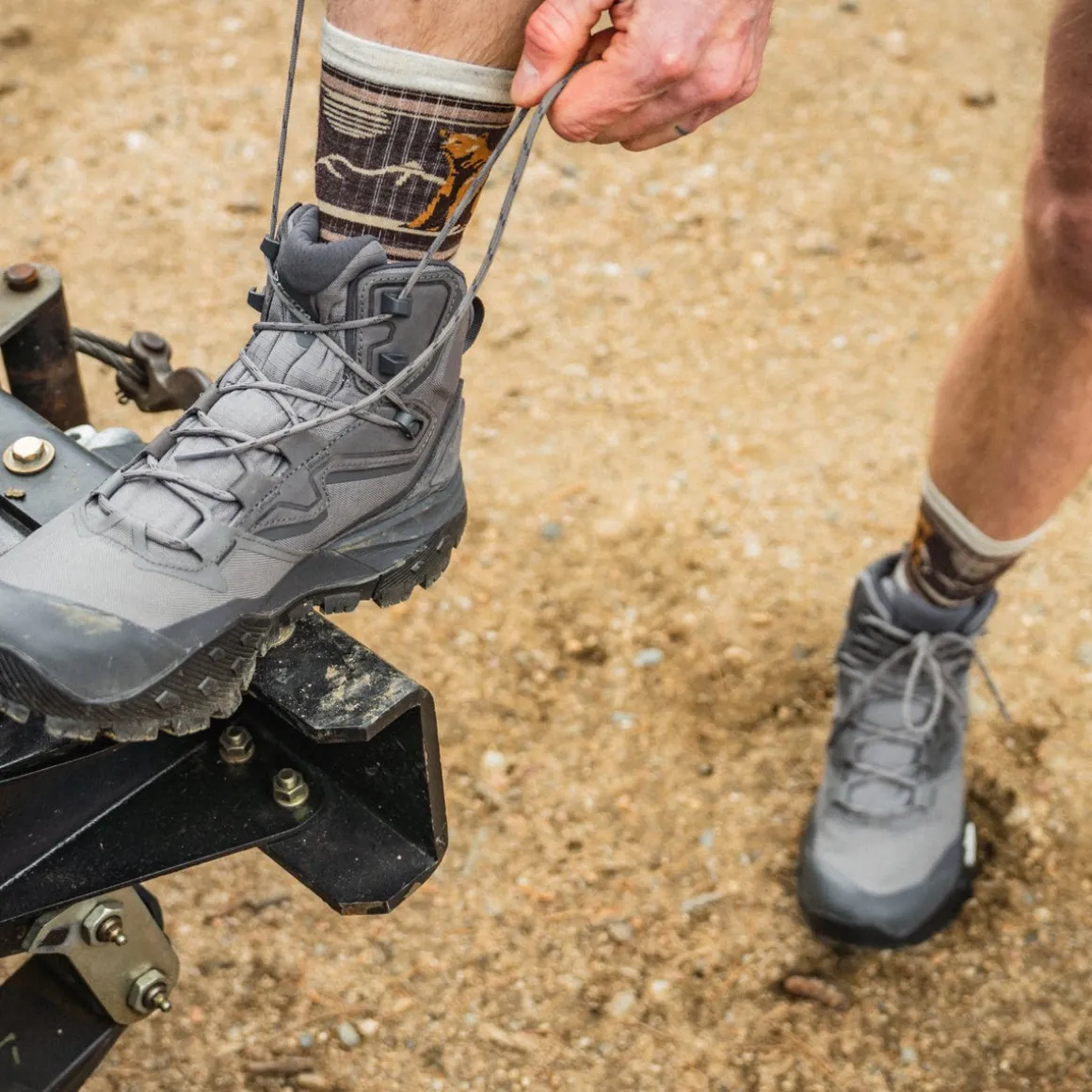 Hike Bear Stripe Mid Crew Socks