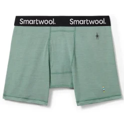 Men's Merino Boxer Brief