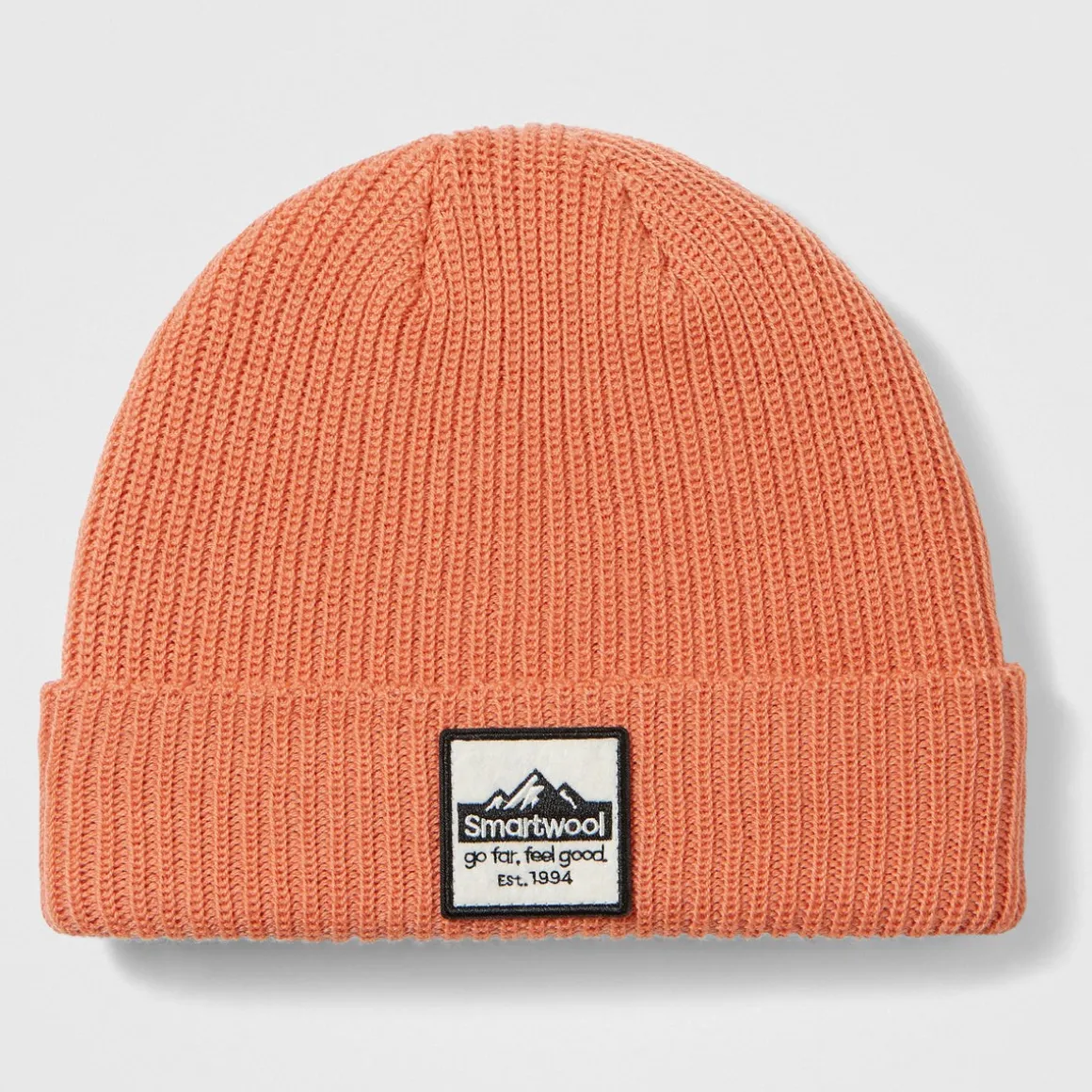 Smartwool Patch Beanie